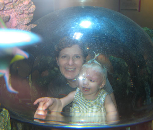 Sea Life